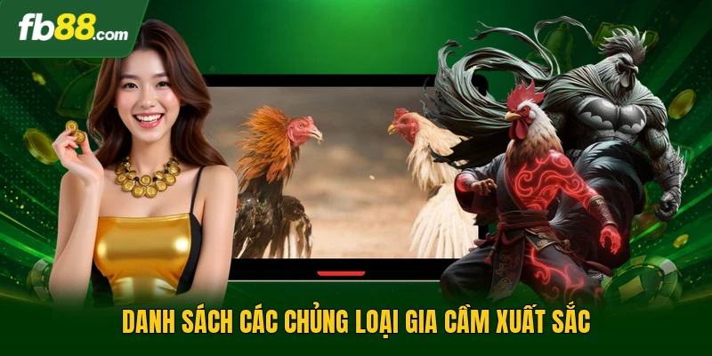 Gà Đẹp Nhất Việt Nam - Tiêu Chuẩn Đánh Giá, Phân Loại Chuẩn 3 Danh sách các chủng loại gia cầm xuất sắc