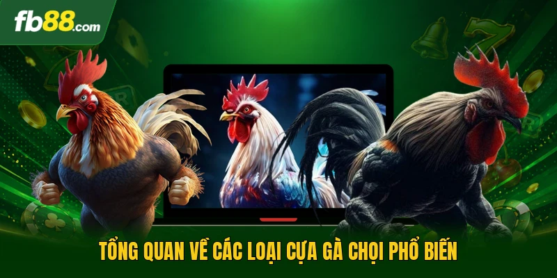 Tổng quan về các loại cựa gà chọi phổ biến