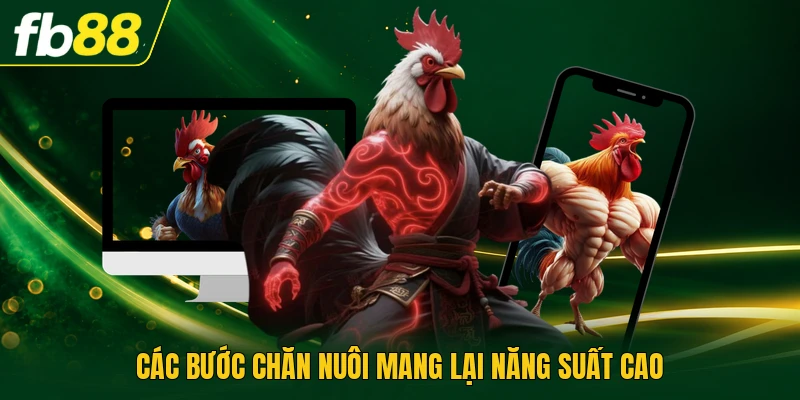 Nuôi Gà Rừng Tại Nhà - Kỹ Thuật Phối Giống, Xây Chuồng 2 Các bước chăn nuôi mang lại năng suất cao