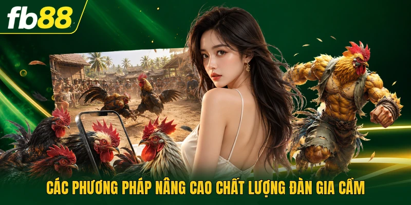 Nuôi Gà Rừng Tại Nhà - Kỹ Thuật Phối Giống, Xây Chuồng 3 Các phương pháp nâng cao chất lượng đàn gia cầm