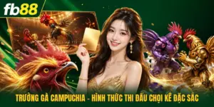 Trường Gà Campuchia - Hình Thức Thi Đấu Chọi Kê Đặc Sắc